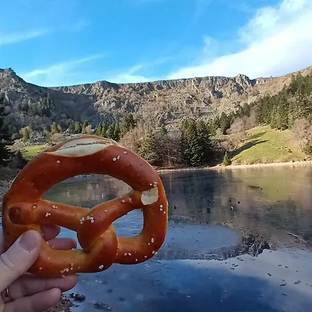 Au Chasseur Appartamento *