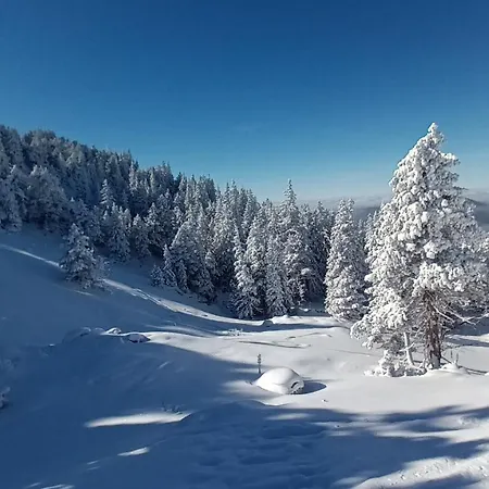 Appartamento Au Chasseur