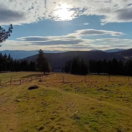 Au Chasseur Appartamento Colmar