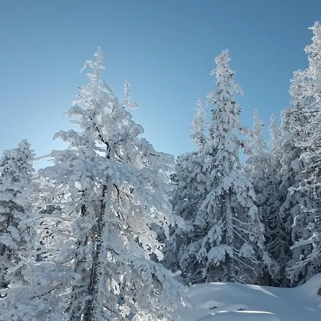 Au Chasseur Appartamento Colmar
