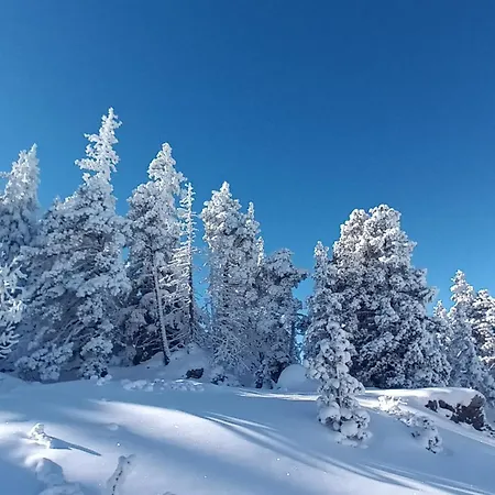 Appartamento Au Chasseur Colmar