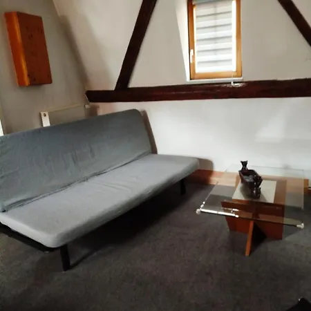 Apartment Au Chasseur Colmar