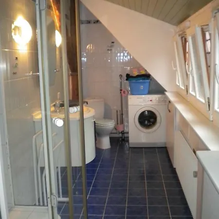 Au Chasseur Appartamento Colmar