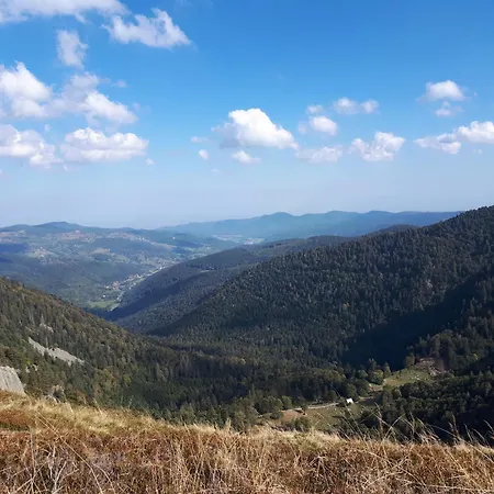 Appartamento Au Chasseur *