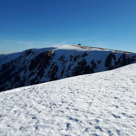 Appartamento Au Chasseur