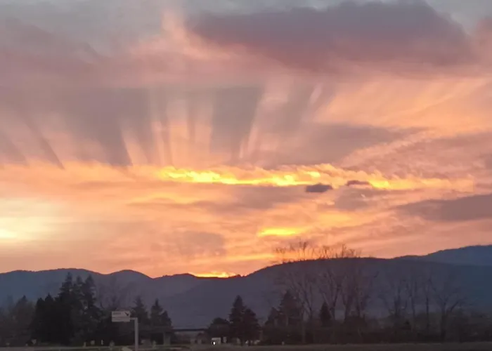 Au Chasseur * Colmar