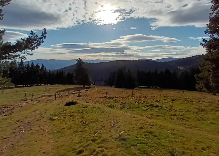 Au Chasseur Apartment Colmar