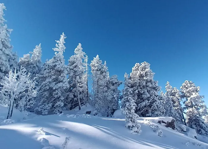 Apartment Au Chasseur Colmar