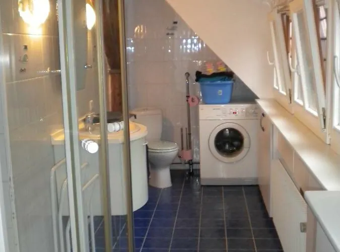 Au Chasseur Apartment Colmar