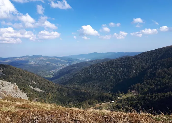 Apartment Au Chasseur *